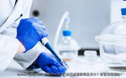 泰国dhc(拉差)医院试管费用是多少？试管流程揭秘！