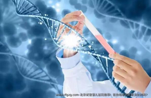 北京代孕医院推荐！在协和做试管要多长时间？