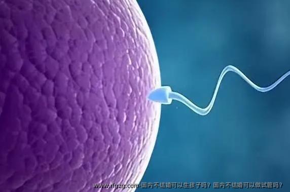 国内不结婚可以生孩子吗？国内不结婚可以做试管吗？