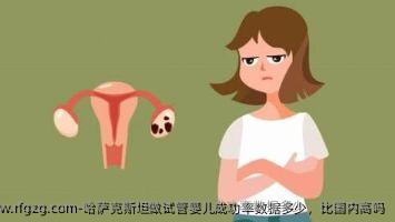哈萨克斯坦做代孕成功率数据多少，比国内高吗