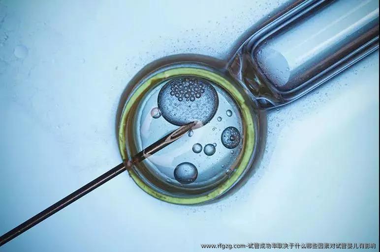 试管成功率取决于什么哪些因素对代孕有影响