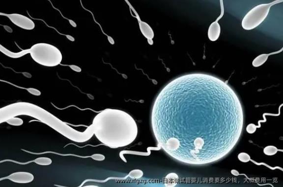 日本做代孕消费要多少钱，大概费用一览