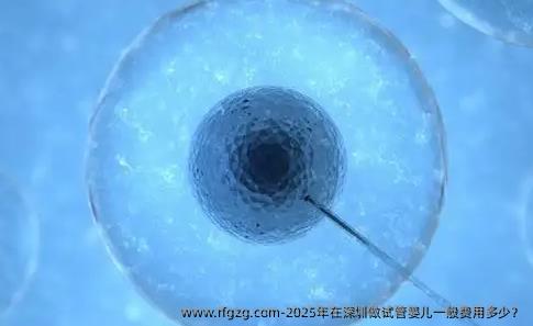2025年在深圳做代孕一般费用多少？
