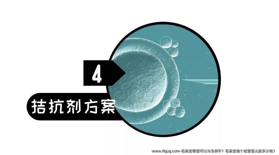 石家庄哪里可以冷雪藏卵子？石家庄做个代孕要多少钱？