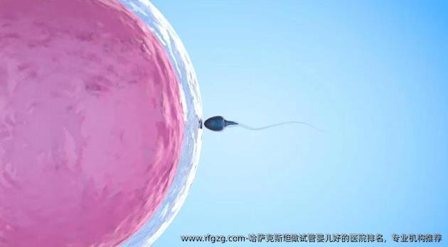 哈萨克斯坦做代孕好的医院排名，专业机构推荐