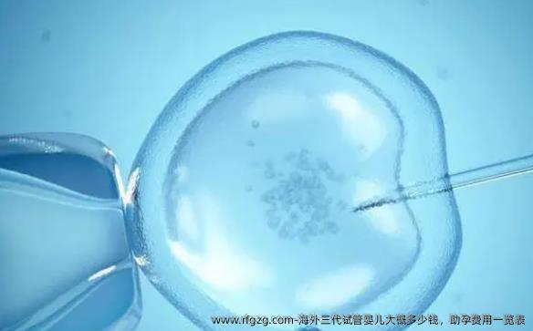 海外三代代孕大概多少钱，助孕费用一览表