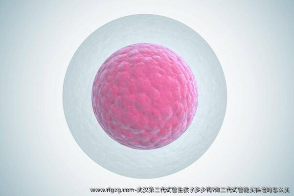 武汉第三代试管生孩子多少钱?做三代试管能买保险吗怎么买