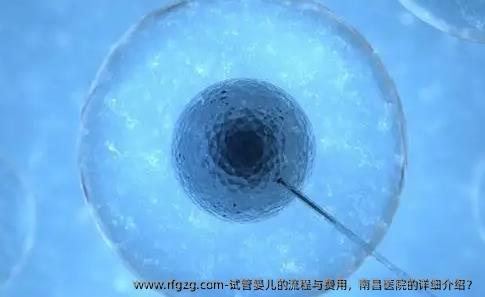 代孕的流程与费用，南昌医院的详细介绍？