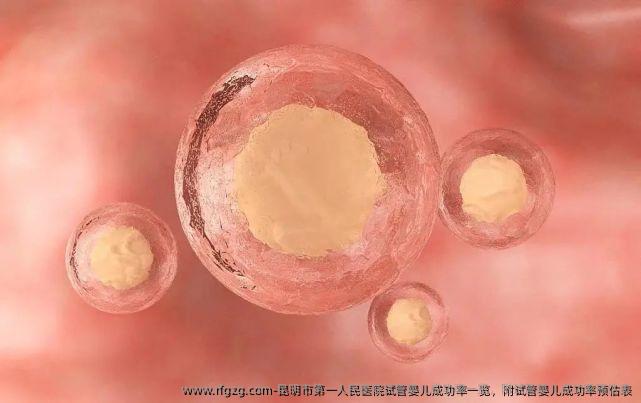 昆明市第一人民医院代孕成功率一览，附代孕成功率预估表