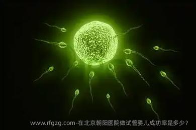 在北京朝阳医院做代孕成功率是多少？