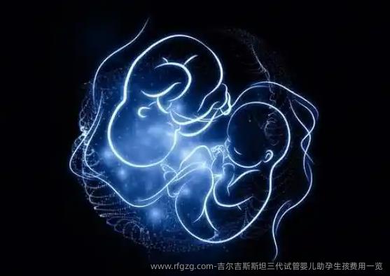 吉尔吉斯斯坦三代代孕助孕生孩费用一览