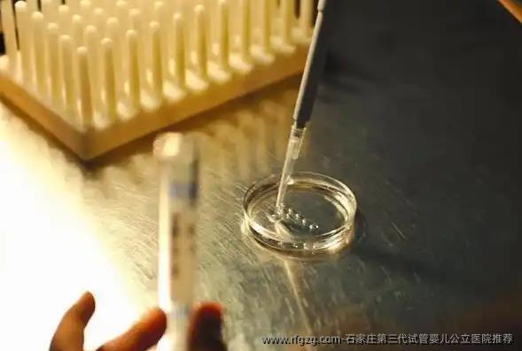 石家庄第三代代孕公立医院推荐