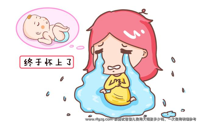 泰国代孕费用大概要多少钱，一次费用明细参考