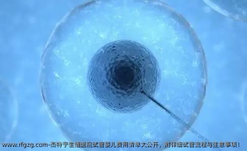 杰特宁生殖医院代孕费用清单大公开，附详细试管流程与注意事项！