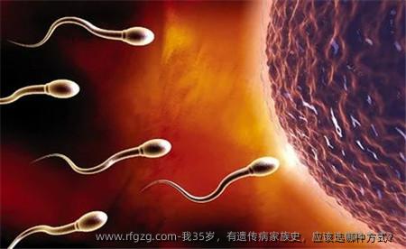 我35岁，有遗传病家族史，应该选哪种方式？