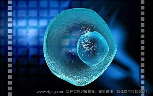哈萨克斯坦代孕花费明细，具体费用包括哪些？ 
