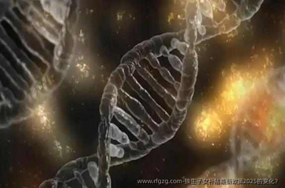 独生子女补贴最新政策2025的变化？